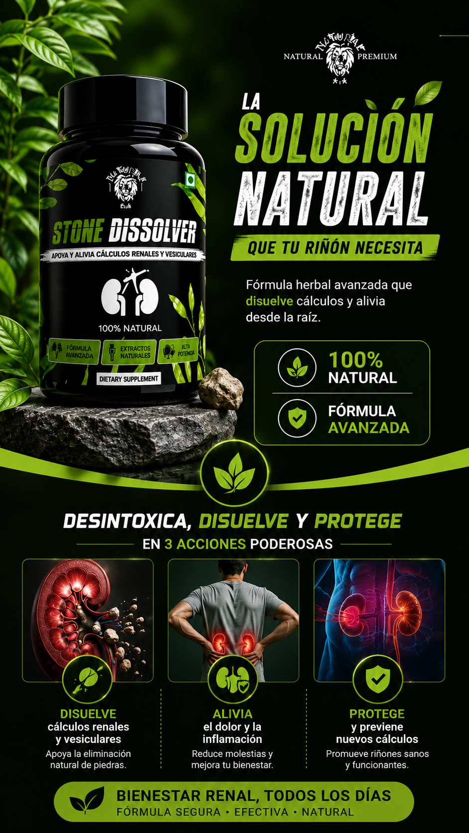 STONE DISSOLVER: Dale el cuidado que tus riñones se merecen